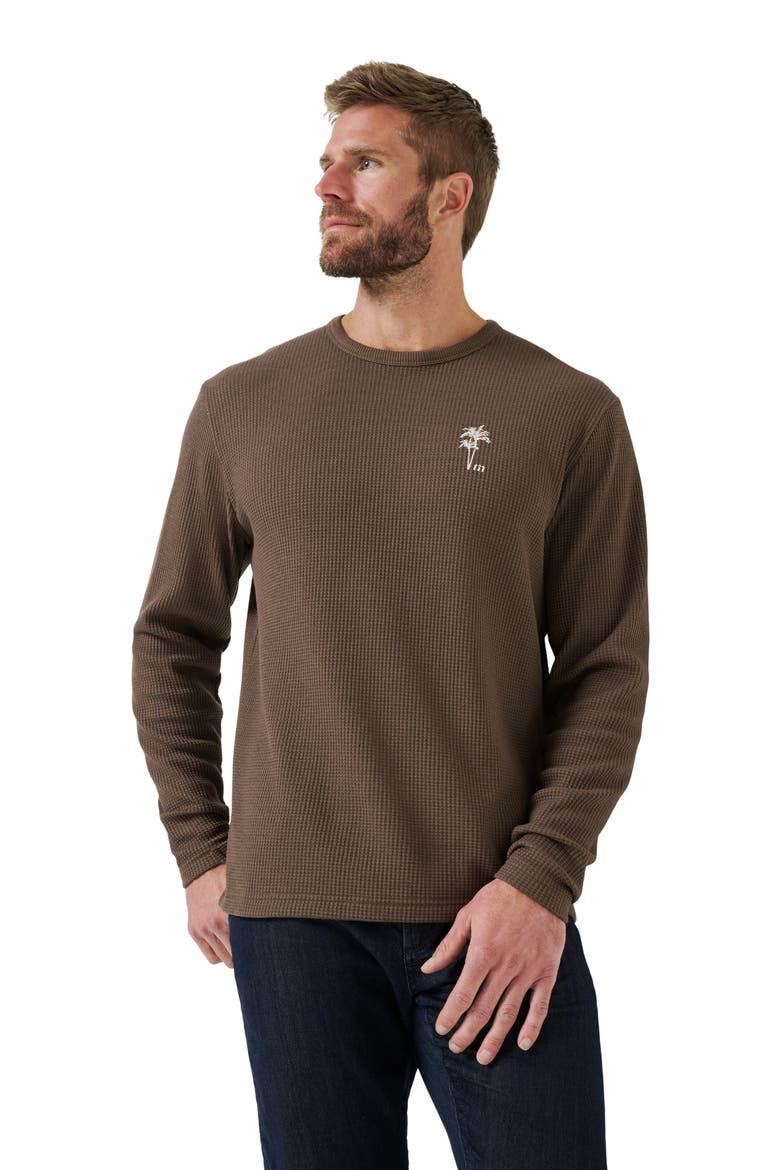 Souvenir Stand Long Sleeve Waffle Knit T-Shirt, Alternate, color, CHOCOLATE BROWN