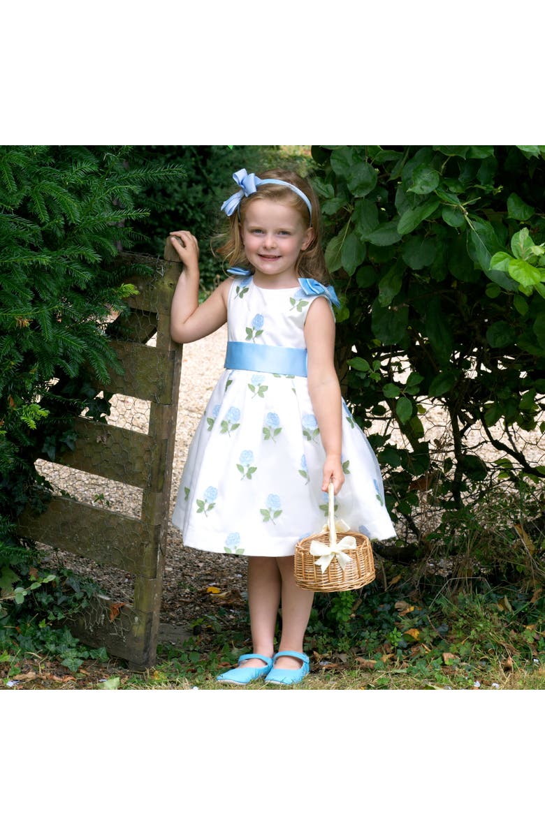 Rachel Riley Rose Embroidered Organza Dress, Alternate, color, Blue