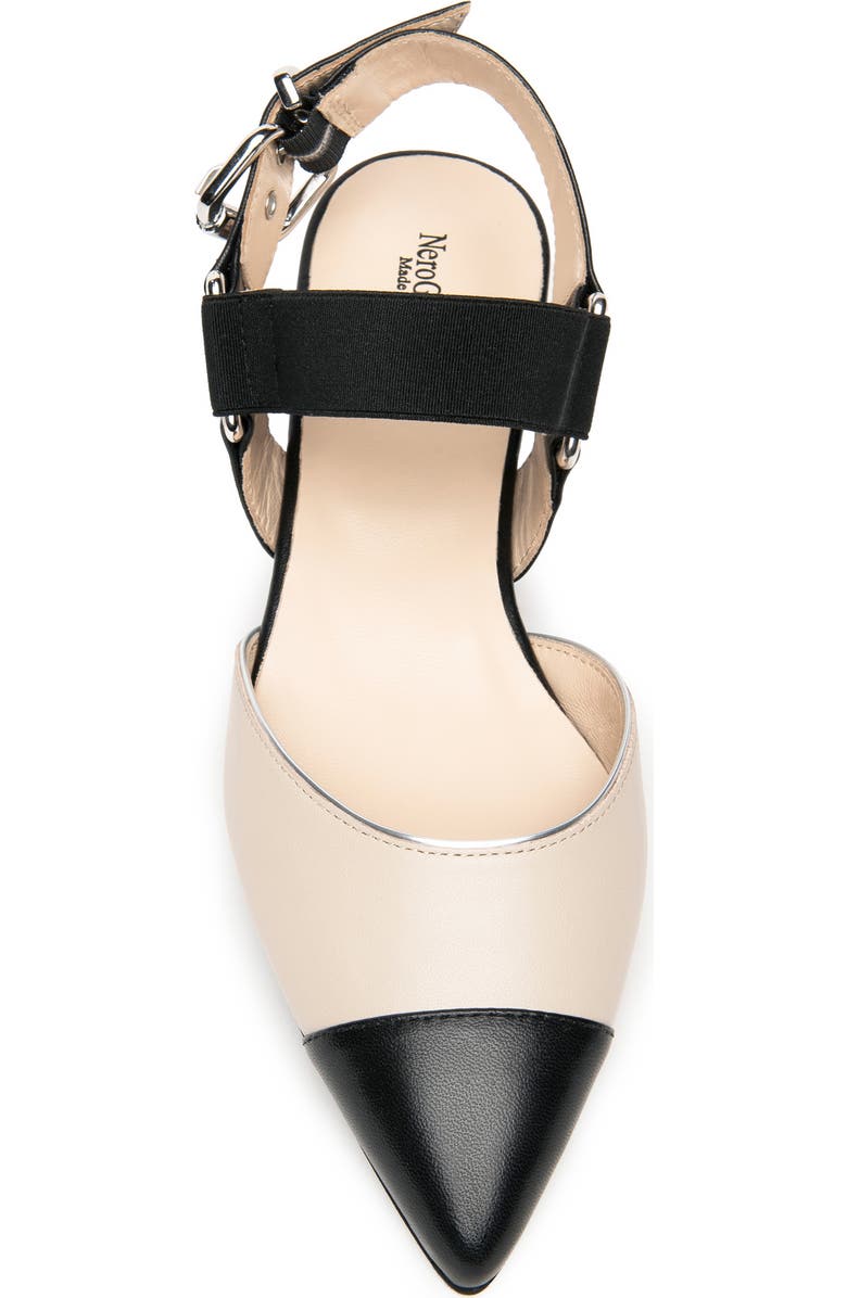 NeroGiardini Pointed Toe Flat, Alternate, color, Black/ Beige