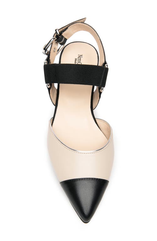 Nerogiardini Pointed Toe Flat