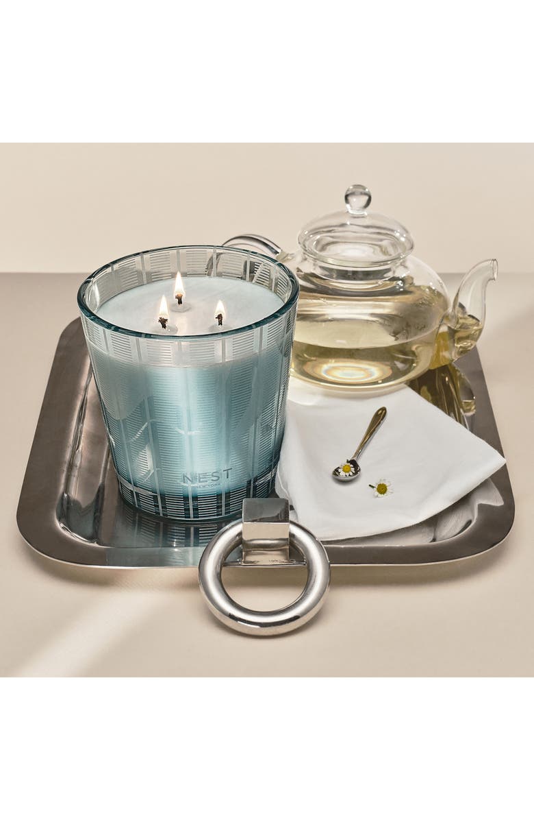 NEST New York Driftwood & Chamomile Scented Candle, Alternate, color,