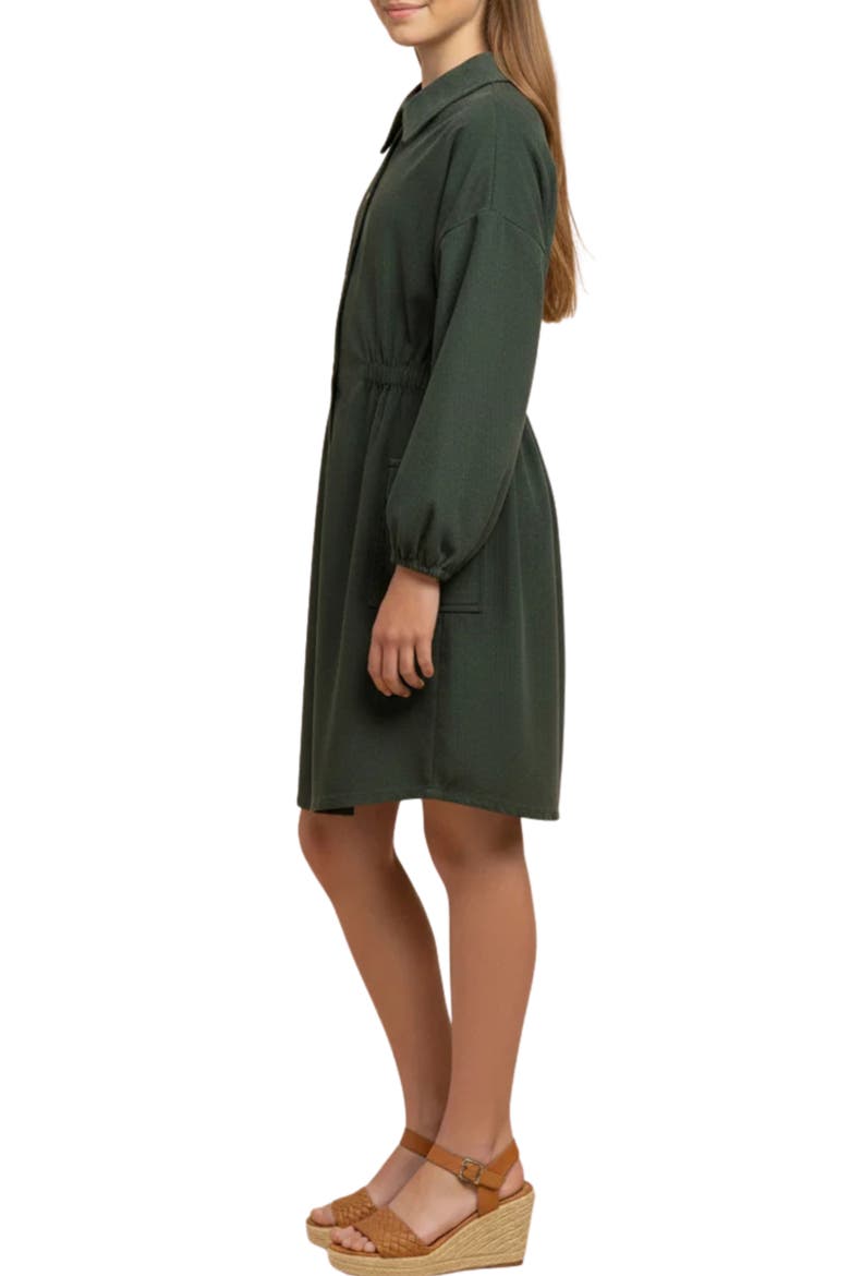 Long Sleeve Cotton Corduroy Dress, Alternate, color, OLIVE