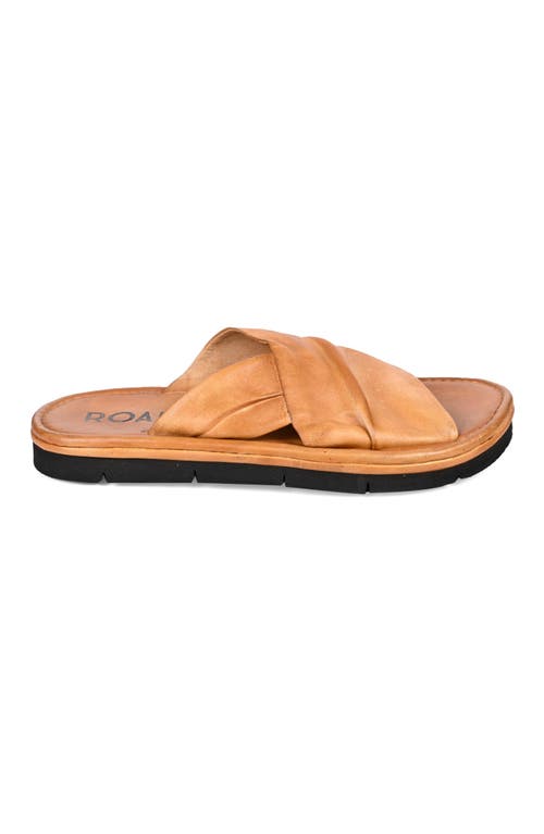 Roan Nosy Sandal In Multi