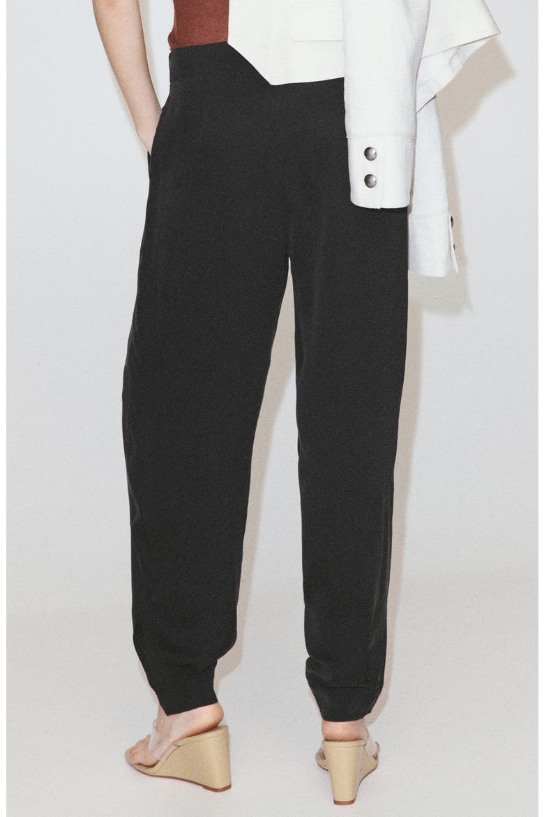Pleated Baggy Cupro Blend Pants, Alternate, color, BLACK