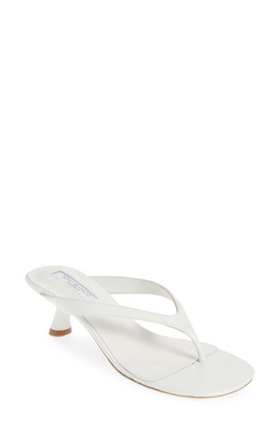 style board product image