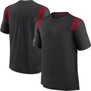 Nike Men's Nike Black Arizona Cardinals Sideline Tonal Logo Performance Player T-Shirt