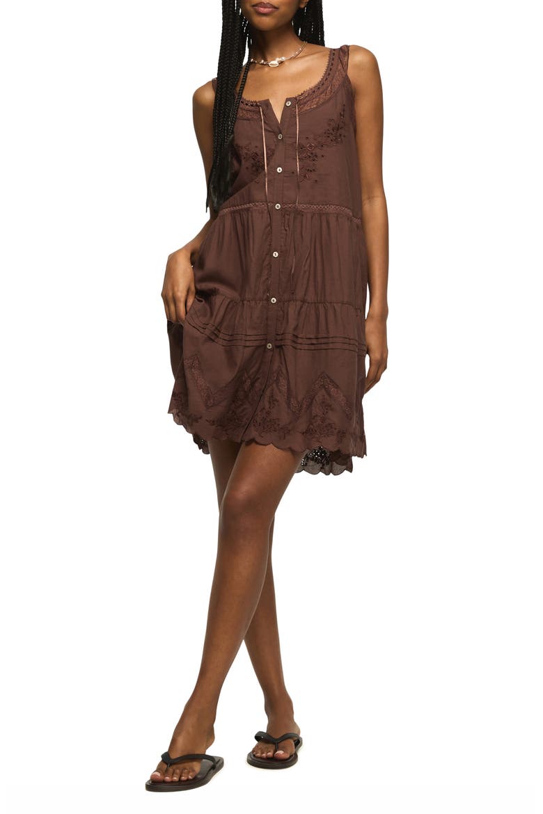 Embroidered Drop Waist Minidress, Main, color, FRENCH ROAST