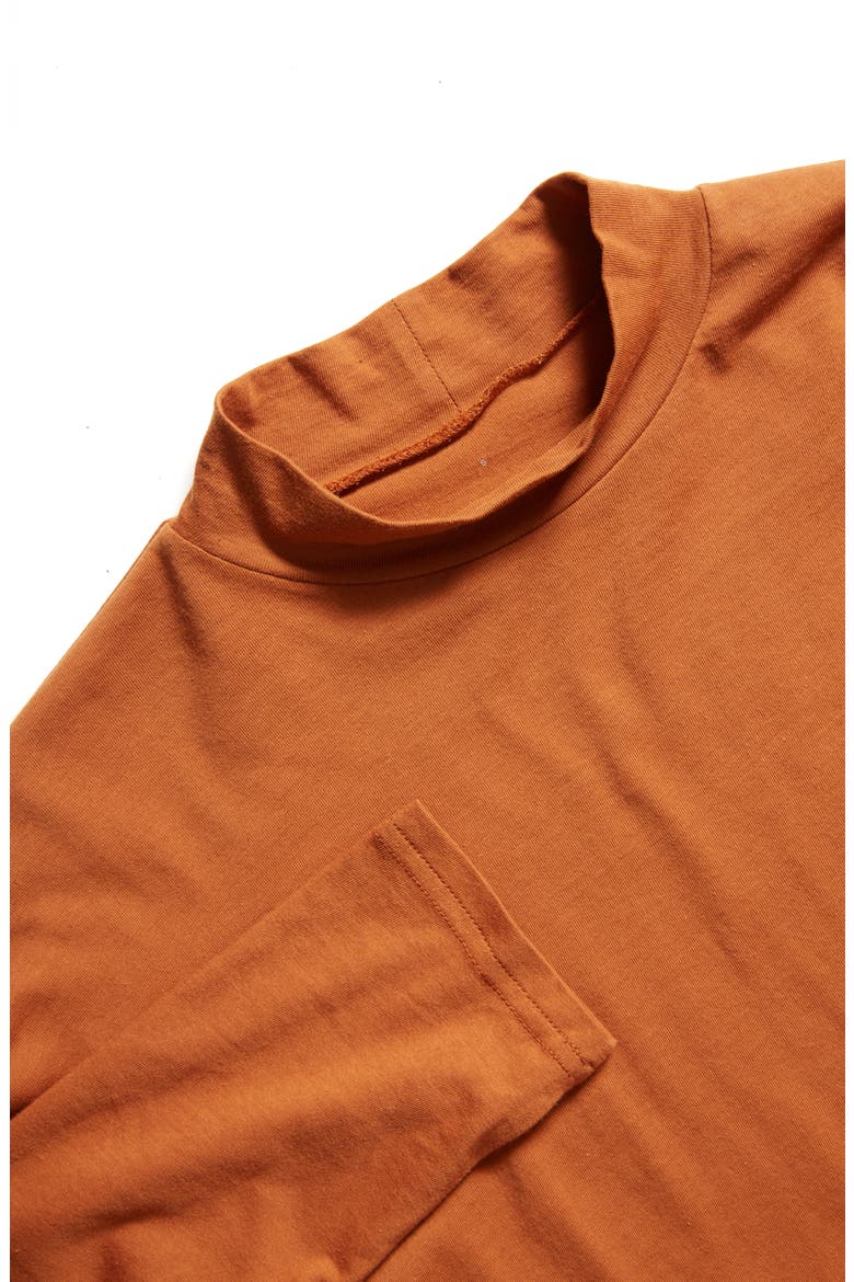 The Square Mock Neck Tee, Alternate, color, AUTUMN LEAF