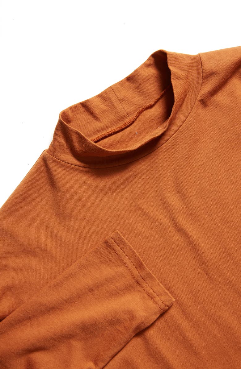 Everlane The Square Mock Neck Tee, Alternate, color,