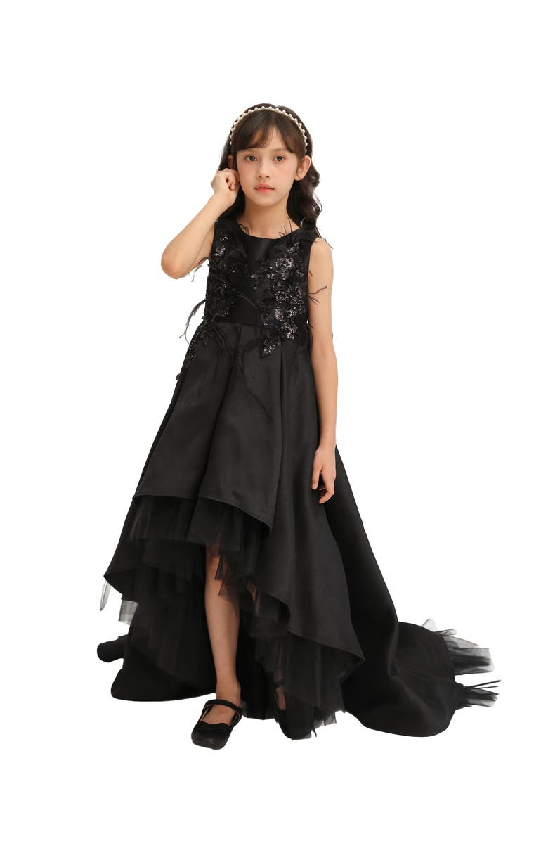 Tulleen Salem Dress, Main, color, Black