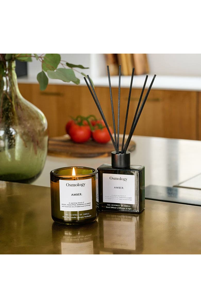 Osmology Amber Reed Diffuser, Alternate, color, Black