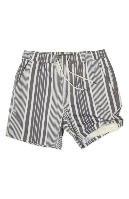 Ezekiel Dubb Stripe Swim Shorts In Gray
