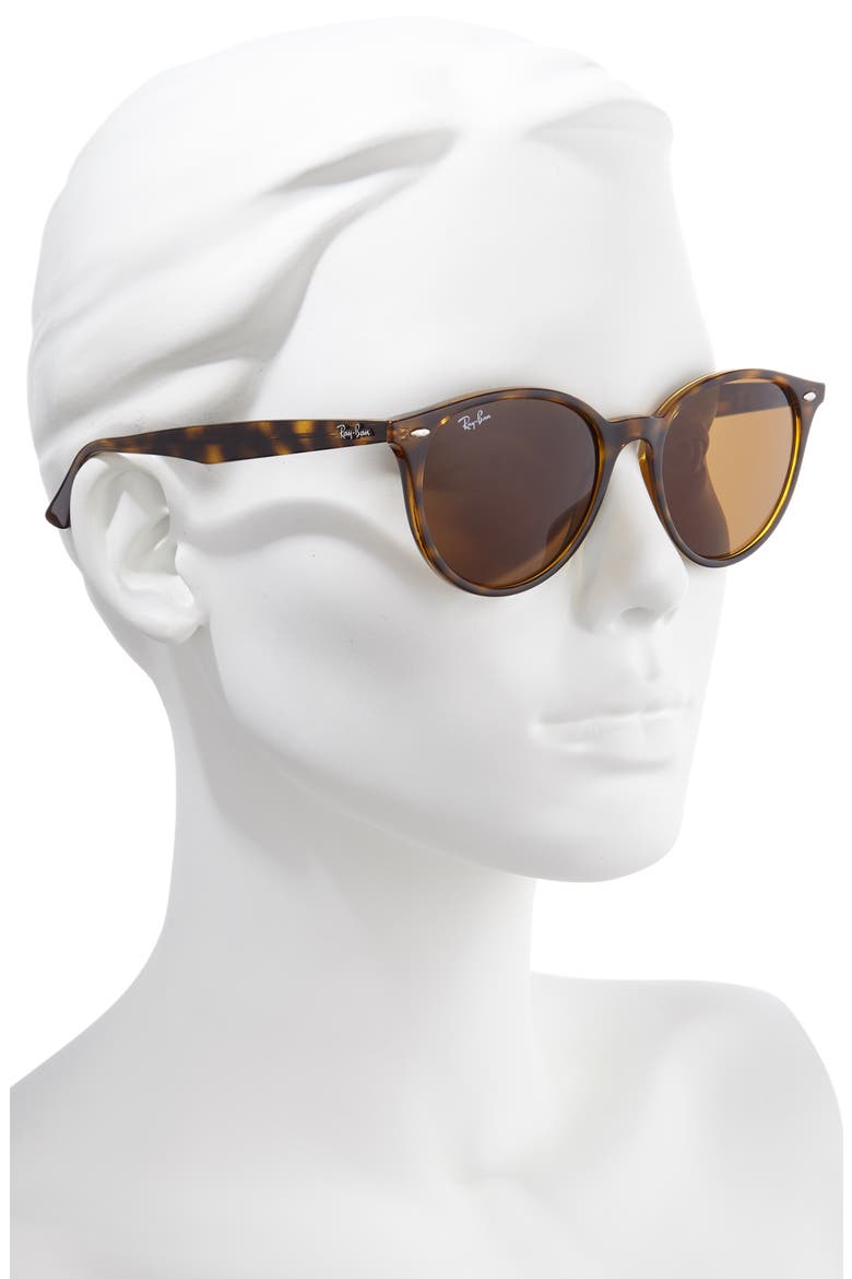 Phantos 53mm Round Sunglasses, Alternate, color, HAVANA/ BROWN SOLID