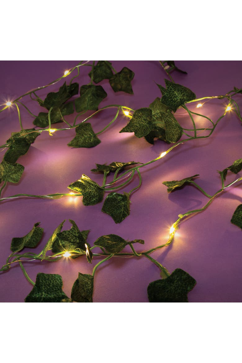 Make It Real Photo Collage & Ivy Fairy Lights Set, Alternate, color, Multicolored