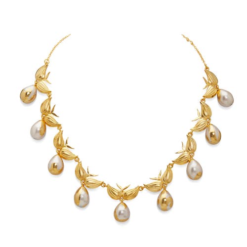 Dhwani Bansal Zooni Necklace In Gold Plated