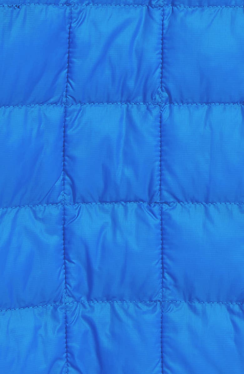 The North Face Kids' ThermoBall<sup>™</sup> Eco Hooded Jacket, Alternate, color, 