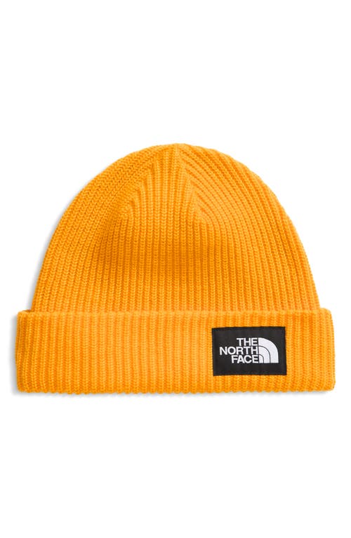 The North Face Salty Dog Beanie In Orange