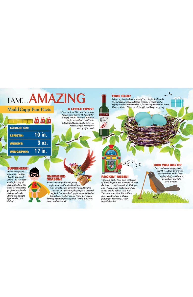 Madd Capp I Am Robin 300 Piece Jigsaw Puzzle Bird Shaped Puzzle, 25X19", Alternate, color, Multicolored