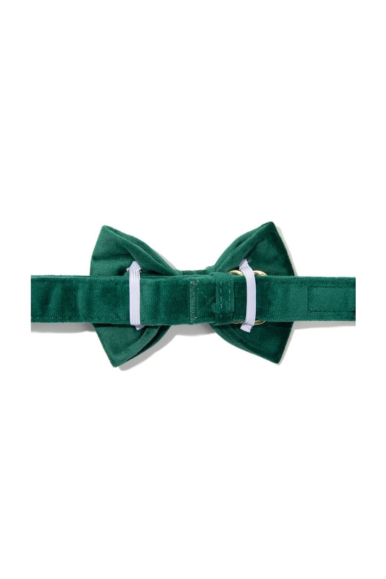 Rue Bow Tie, Alternate, color, Rue