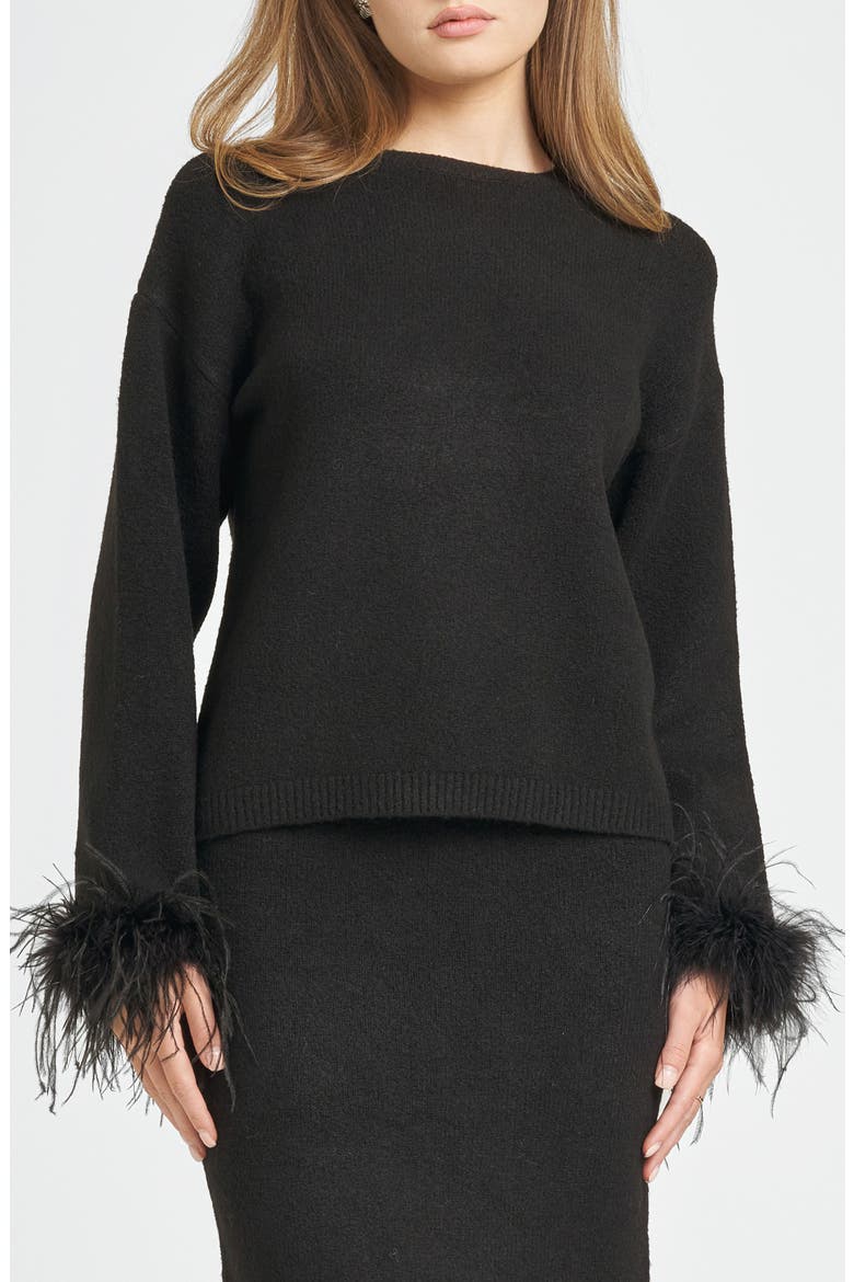 Sadie Feather Trim Sweater, Main, color, BLACK