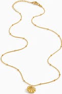 YOJ Stella Beaded Choker Necklace in Gold