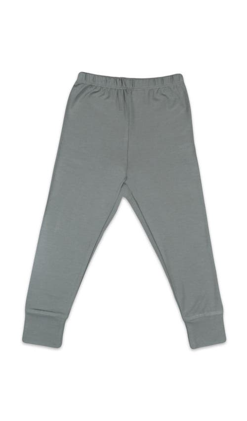 Everly Grey Emerson Fitted Long Sleeve 2-piece Pajamas In Gray