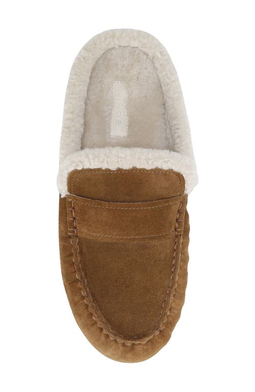 Vince Berkley Genuine Shearling Driving Loafer In Brown