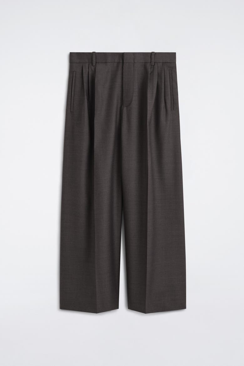 Pleated Relaxed-Fit Wide-Leg Pants, Alternate, color, DARK BROWN