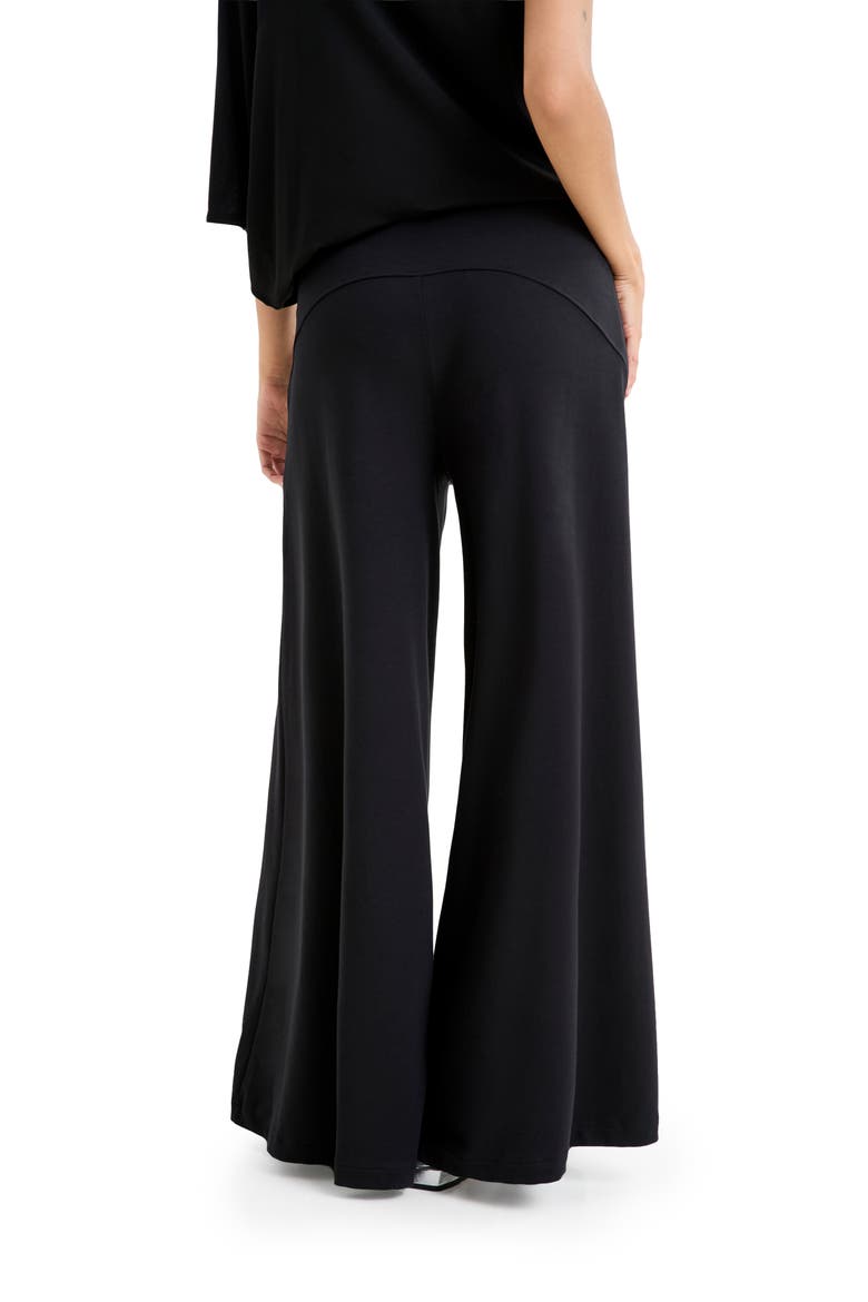 Hylan High Waist Wide Leg Pants, Alternate, color, BLACK