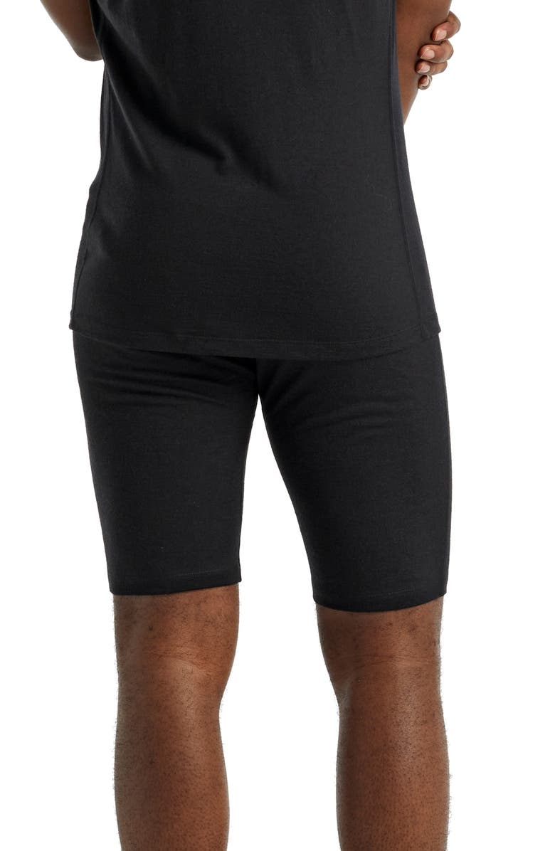 Icebreaker Men's 200 Oasis Merino Wool Shorts, Alternate, color, 