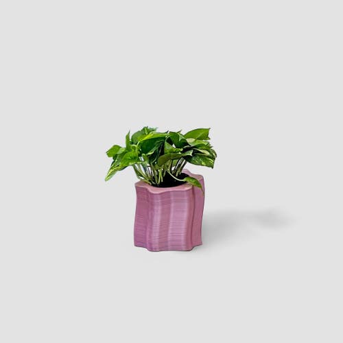 Form & Seek Frosting Short Planters In Pink