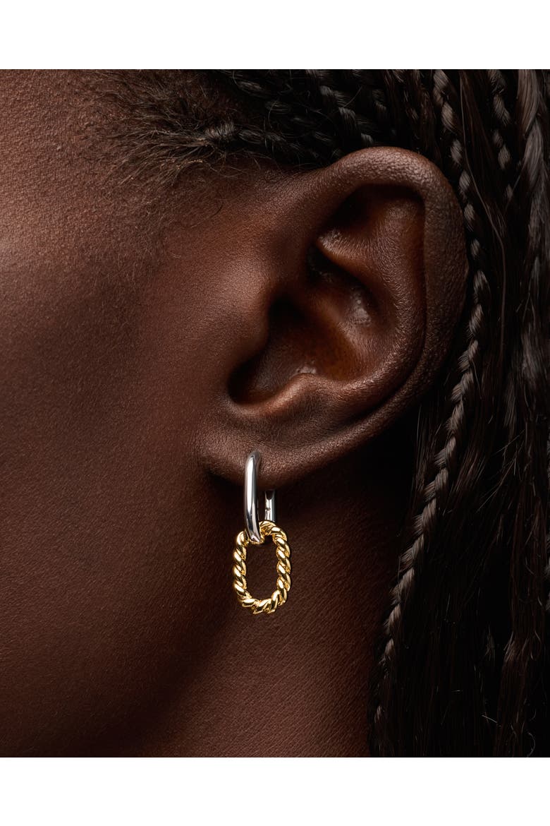 Drop Earrings - Ash Double Mini Two Tone, Alternate, color, Two Tone