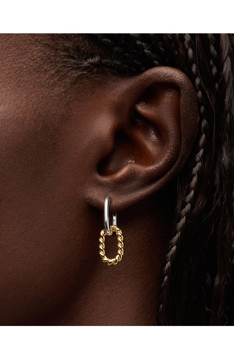 Ana Luisa Drop Earrings - Ash Double Mini Two Tone, Alternate, color, Two Tone