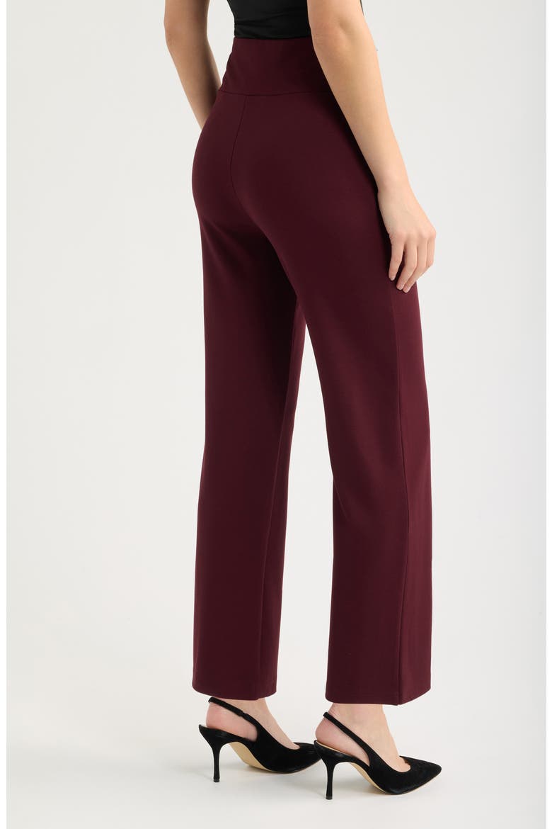 High Waist Pull-On Wide Waistband Trousers, Alternate, color, BAROLO