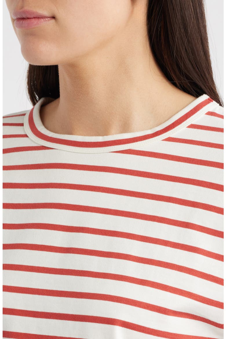 Everyday Boxy Cotton Crop T-Shirt, Alternate, color, RED STRIPE