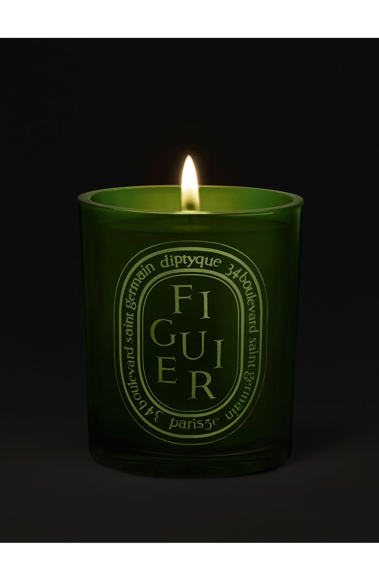 Diptyque Figuier (Fig Tree) Scented Indoor & Outdoor Candle, Alternate, color, Green Vessel