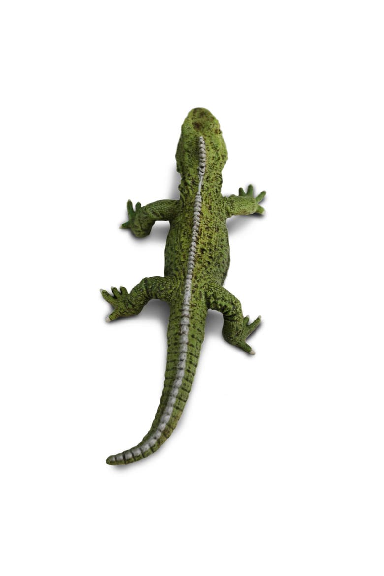 Tuatara Toy, Alternate, color, No Color
