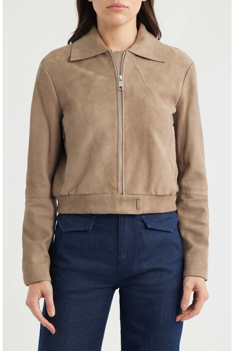 Salene Suede Jacket, Alternate, color, BASALT