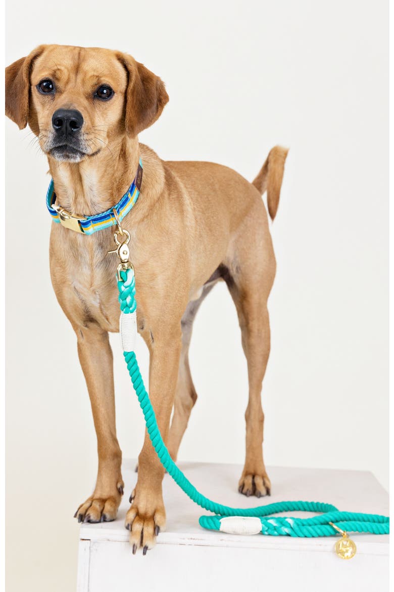 Ariel Rope Dog Leash, Alternate, color, Ariel 4ft