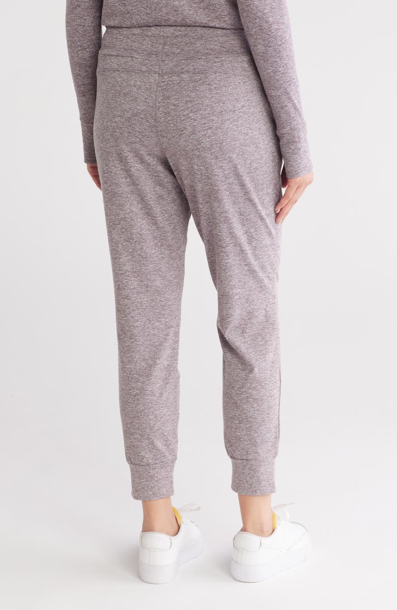 APANA Fireside Knit Joggers, Alternate, color, Shark