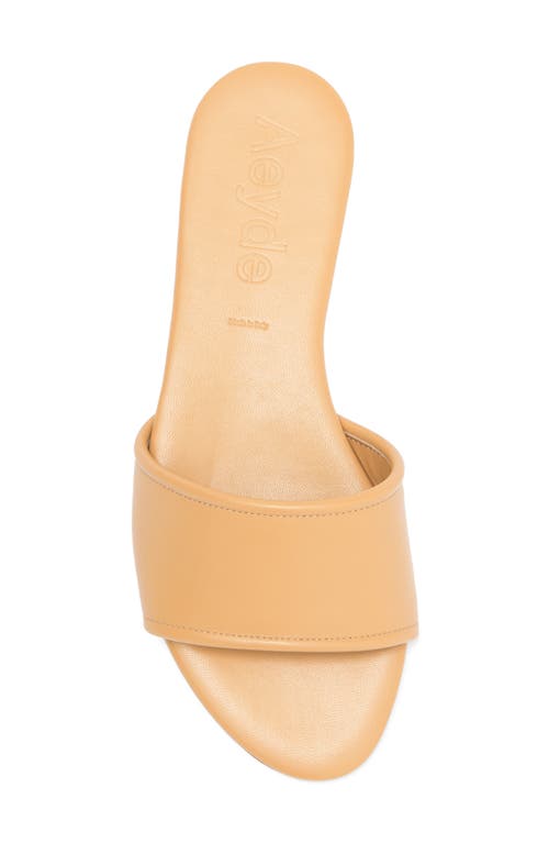 Aeyde Sumi Slide Sandal In Chai