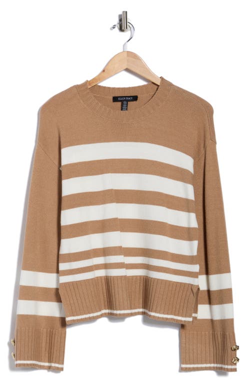 Ellen Tracy Stripe Crewneck Sweater In Brown
