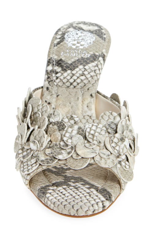 Vince Camuto Palexa Slide Sandal In Animal Print