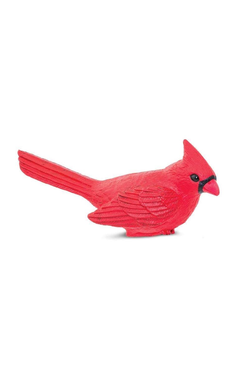 Safari Ltd. Cardinal Toy, Main, color, NO COLOR