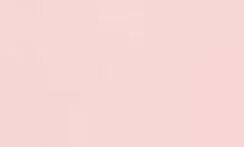Free People Duo Corset Cami In Rose