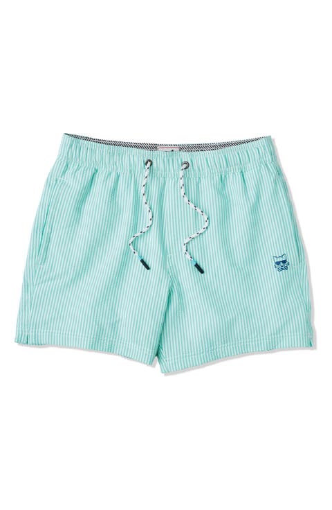Stripe Party Starter Lined 5-Inch Swim Trunks