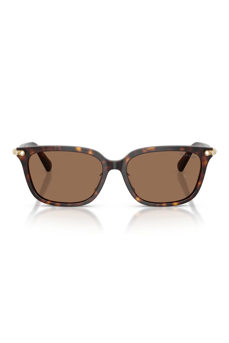 56mm Pillow Sunglasses, Main, color, HAVANA / DARK BROWN