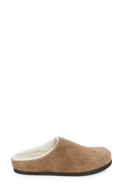 Common Projects Suede & Genuine Shearling Clog In Brown