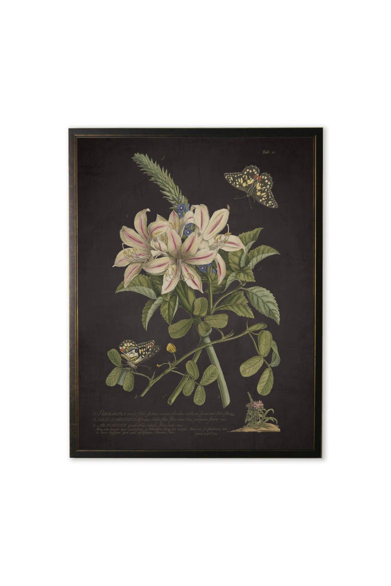 Sherardia Bouquet and Butterflies in Copper and Black Frame, Main, color, Multi