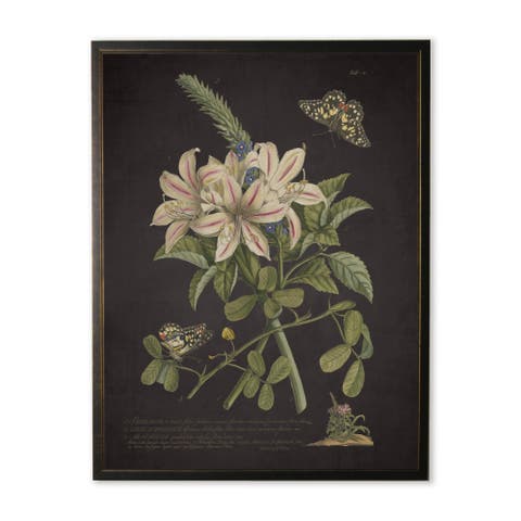 Sherardia Bouquet and Butterflies in Copper and Black Frame